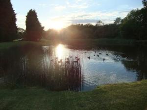 barnacles-restaurant