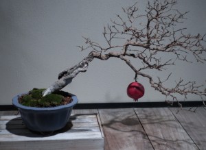 Charley Brown Christmas tree