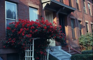 Broadway entrance 1965