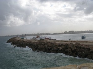Alexandria Library from Qaitbay wall 3627