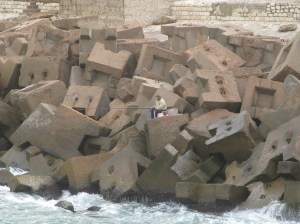 Fishing in Alexandria 3626