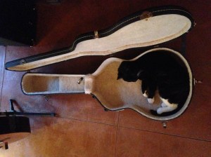 Bela's new carrying case1