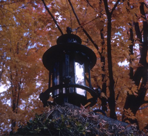 1966 Nov Fall in Cambridge MA2