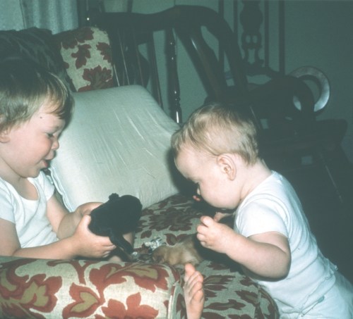 1970 Savannah Scott and Sherry with tiny puppies