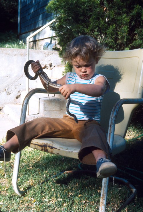 1973 Jul Sherry learning what to do with a snake