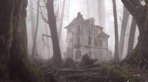 Abandoned-Places-From-Around-The-World-22-An-abandoned-house-in-the-forest