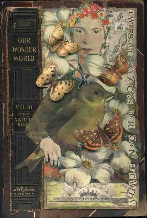 emily-dickinson-much-madness-image