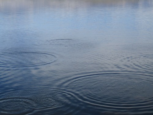 ripples-on-a-pond