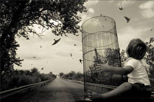 dreams-angela-bacon-kidwell